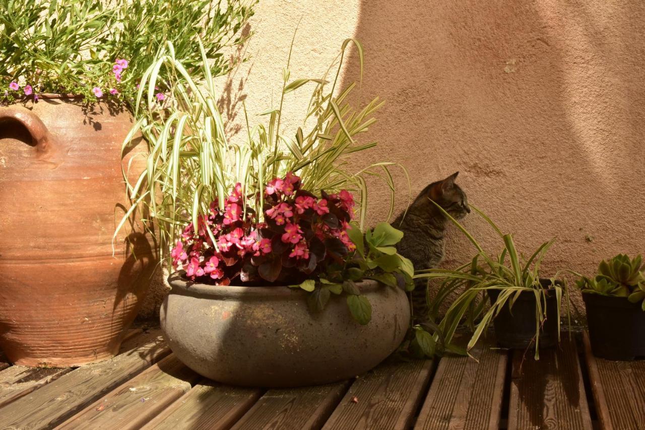 Logis Hotel Le Boudoir Belves Exterior photo